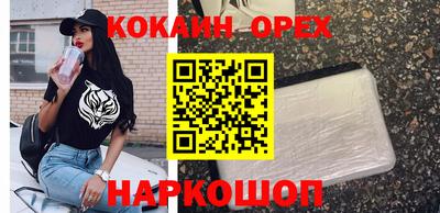 a pvp Славгород