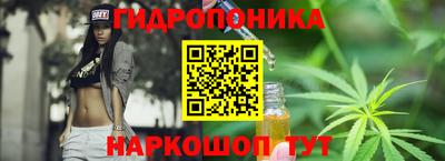 a pvp Славгород