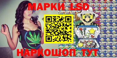 a pvp Славгород