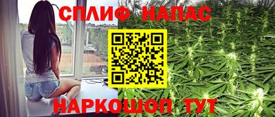 a pvp Славгород